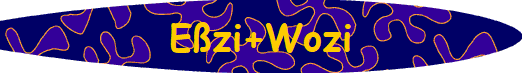 E�zi+Wozi