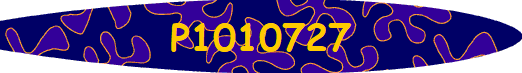 P1010727