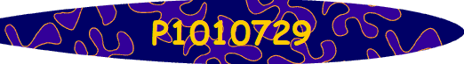 P1010729